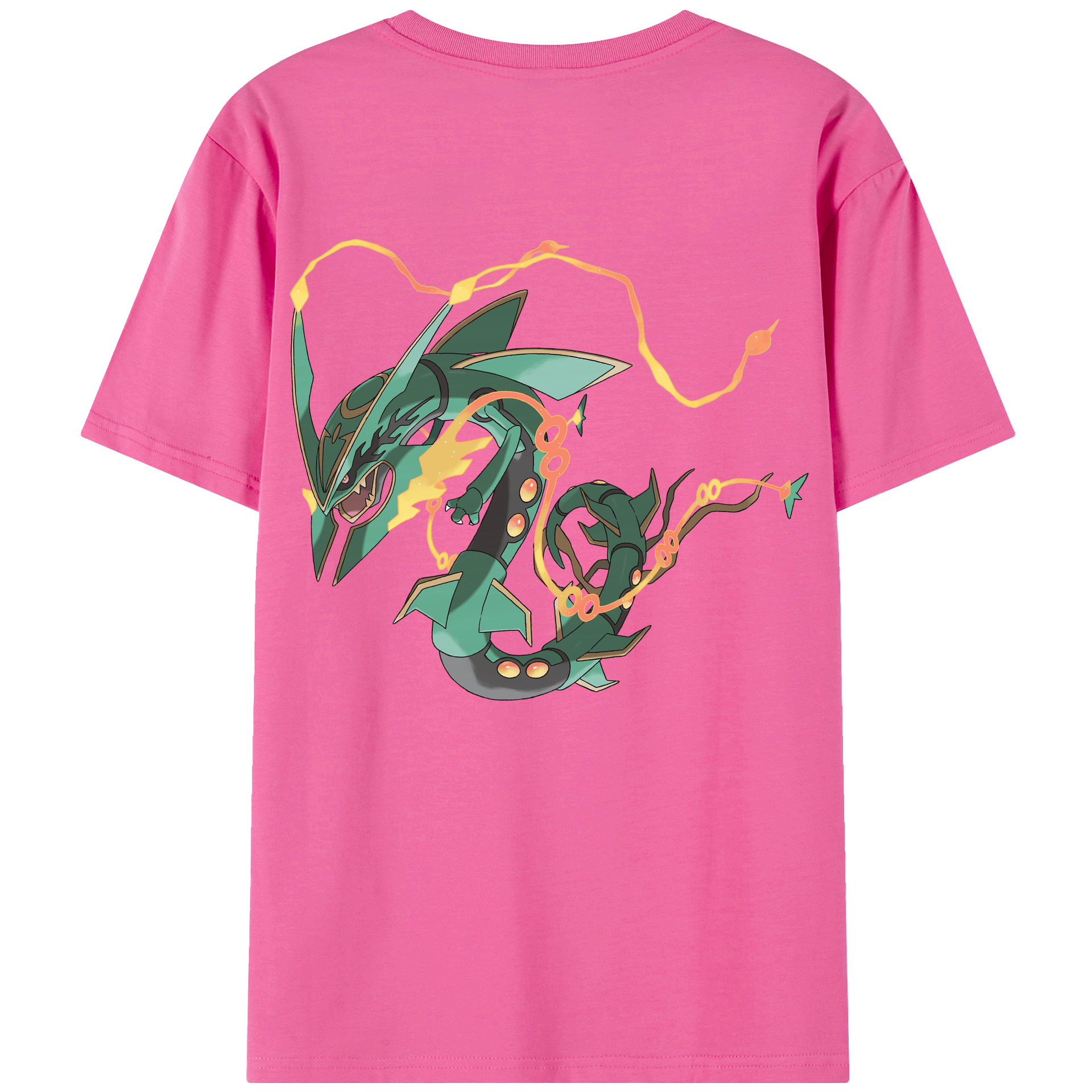 （画像用） ポケットモンスター Pokémon レディース半袖Tシャツ(バックプリント)